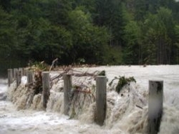 Wildholzrechen im Hochwasserfall