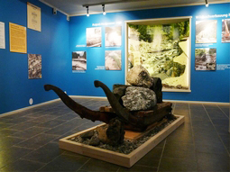 Ausstellungsraum mit Bilder des August-Hochwasser 2005