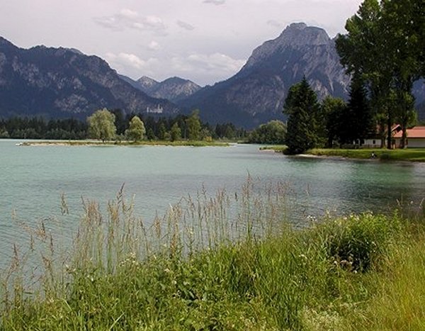 Bild des Forggensees mit den Alpen im Hintergrund