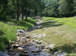 Ökologisch ausgebauter Scheibenbach im Kurpark