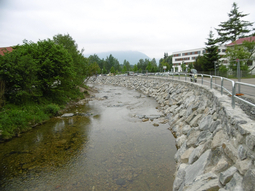 BA01: Juni 2015: Ufermauer mit Uferberollung, Blick von der Brücke „Im Stillen“