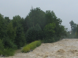 Blick von der Burgberger Brücke in Richtung Südost auf eine Leitbuhne, und eine Sohlrampe beim Hochwasser 2005. Die Leitbuhne verhindert ein Ausbrechen der Ostrach in die angrenzende Siedlungsbebauung und leitet Kanalwasser auf Höhe der Sohlrampe in die Ostrach ein.