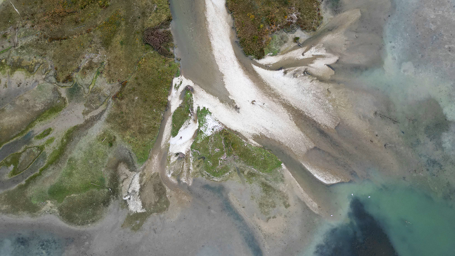 Verlandung im Mündungsdelta 2025