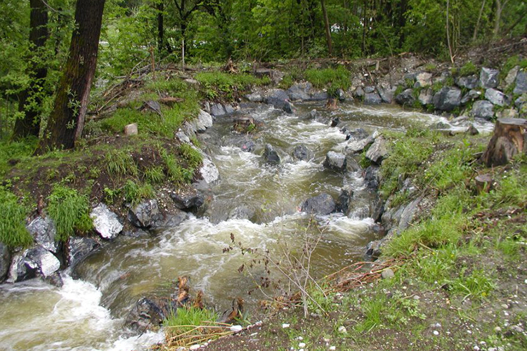 Link führt zum Hirschzeller Wehr