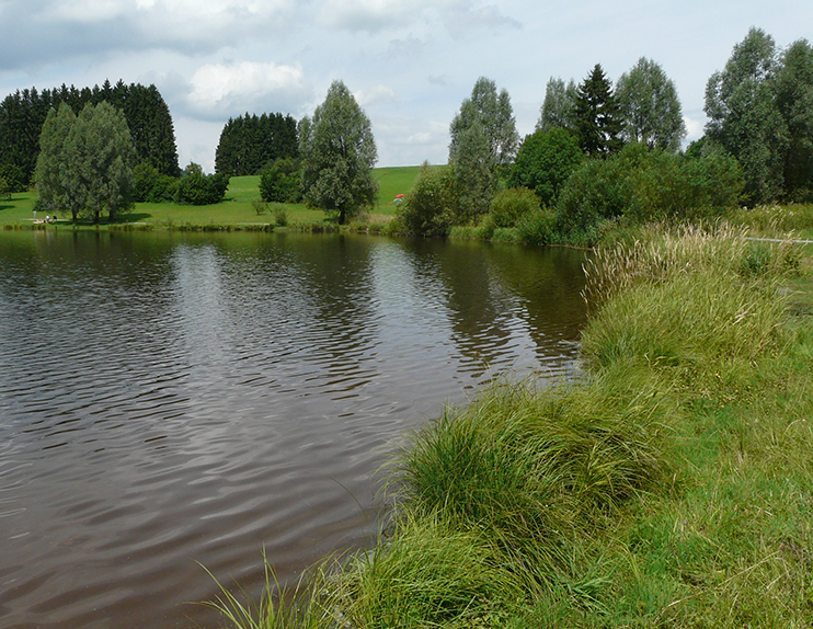 Link führt zur Seite Wasser erleben