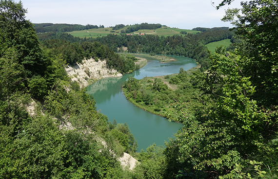 Beschreibung