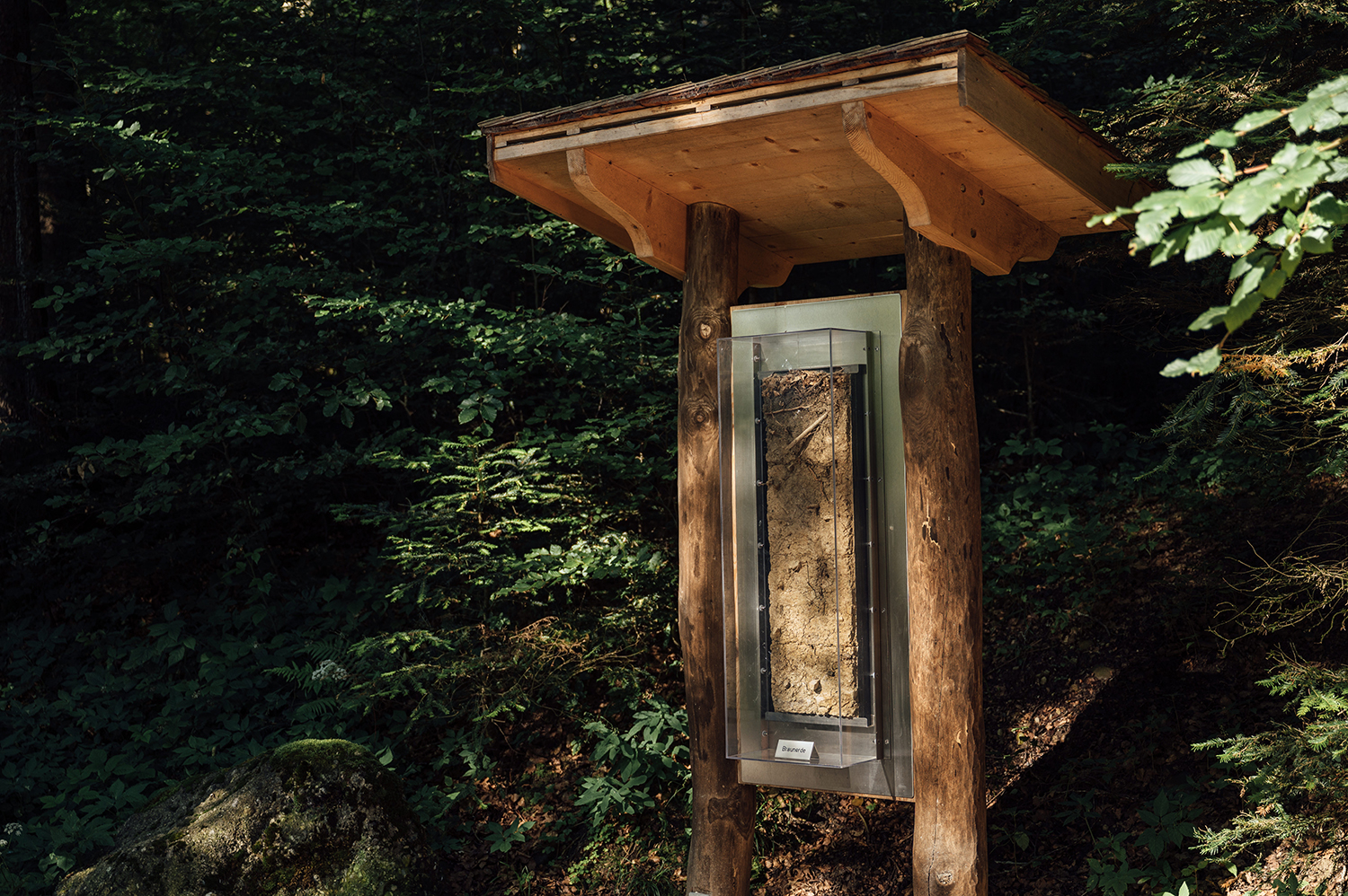 Bodenprofil an Station 2