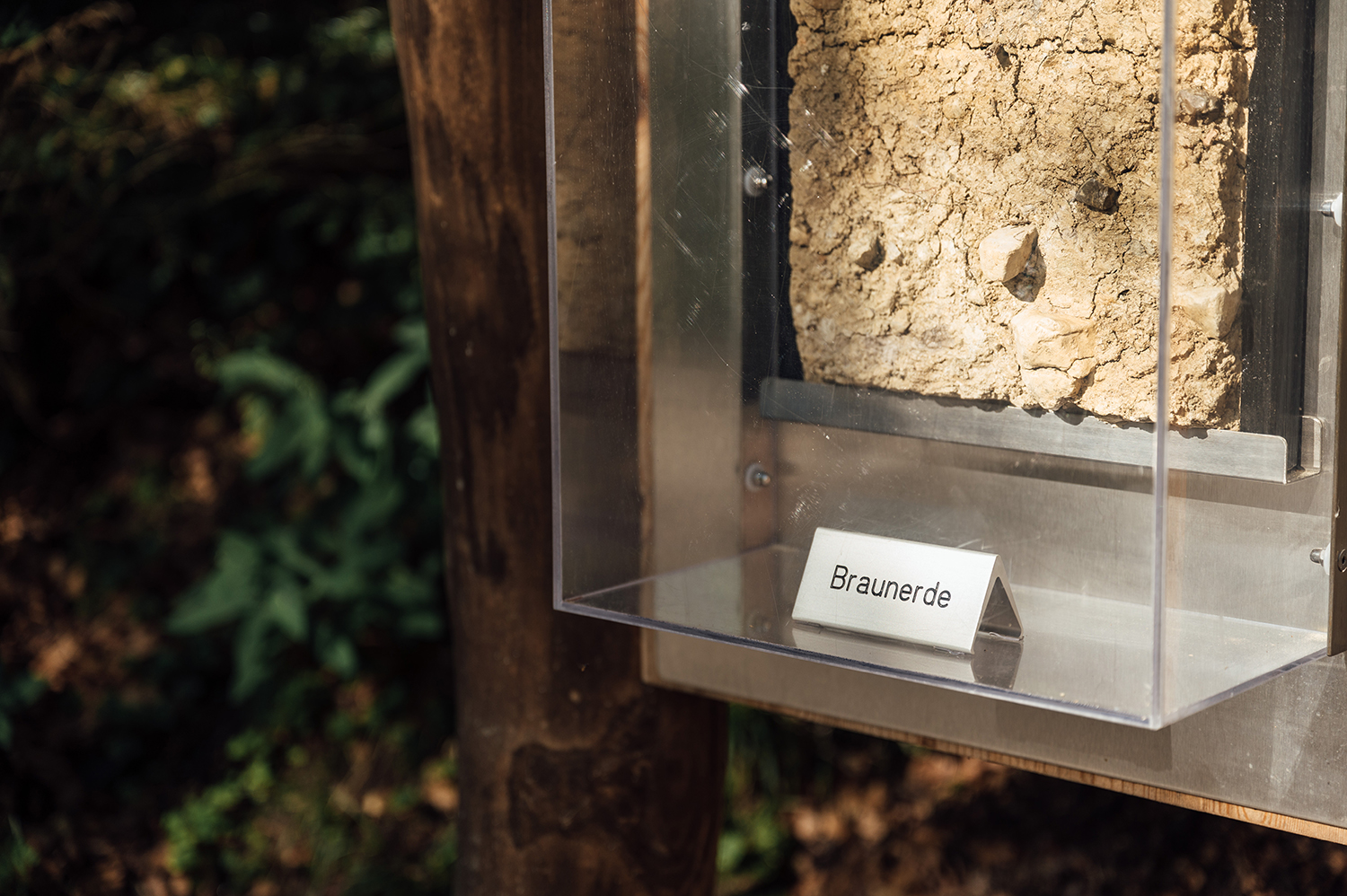 Bodenprofil an Station 2