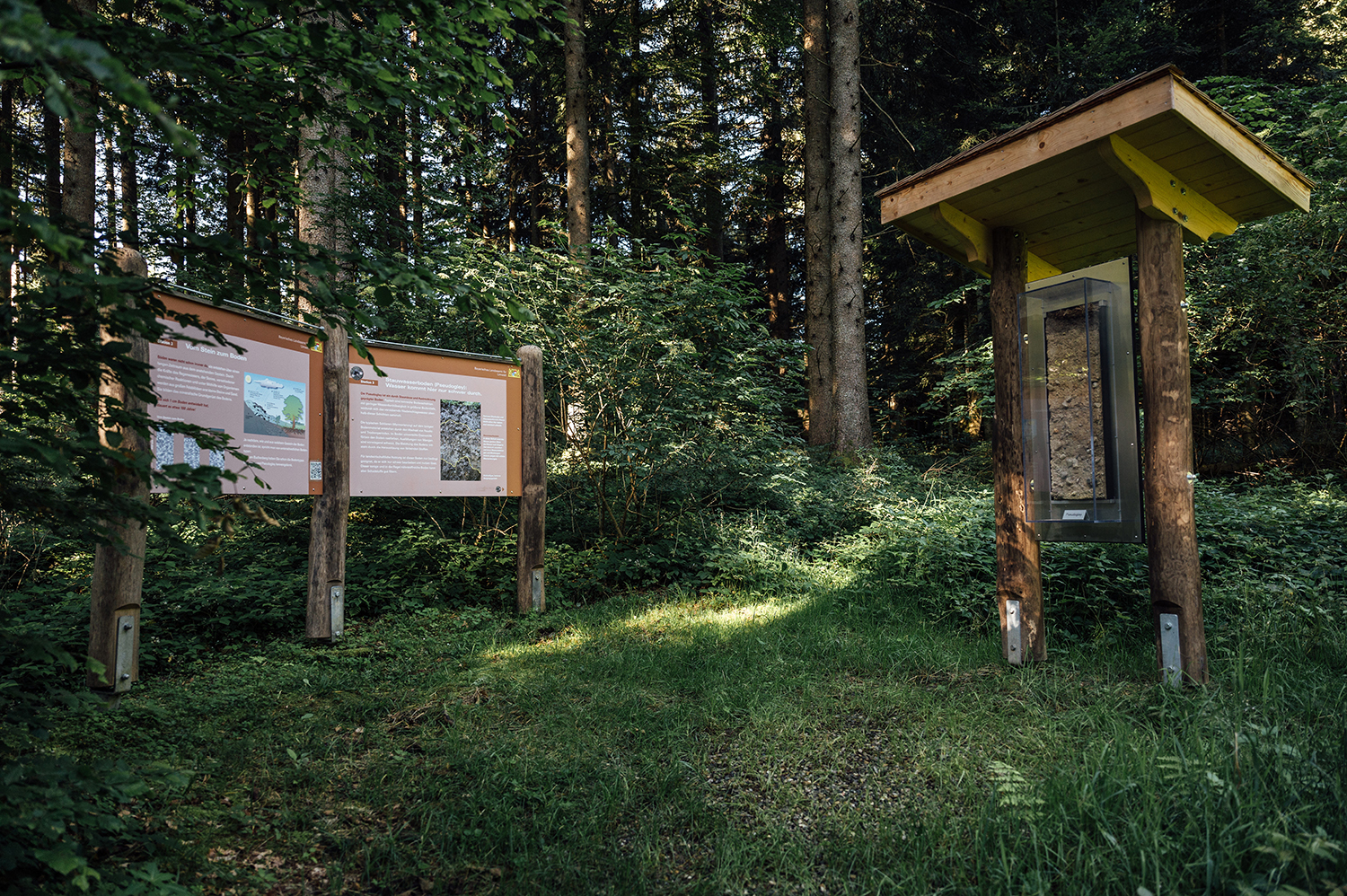 Station 3, Bodenlehrpfad Buchenberg