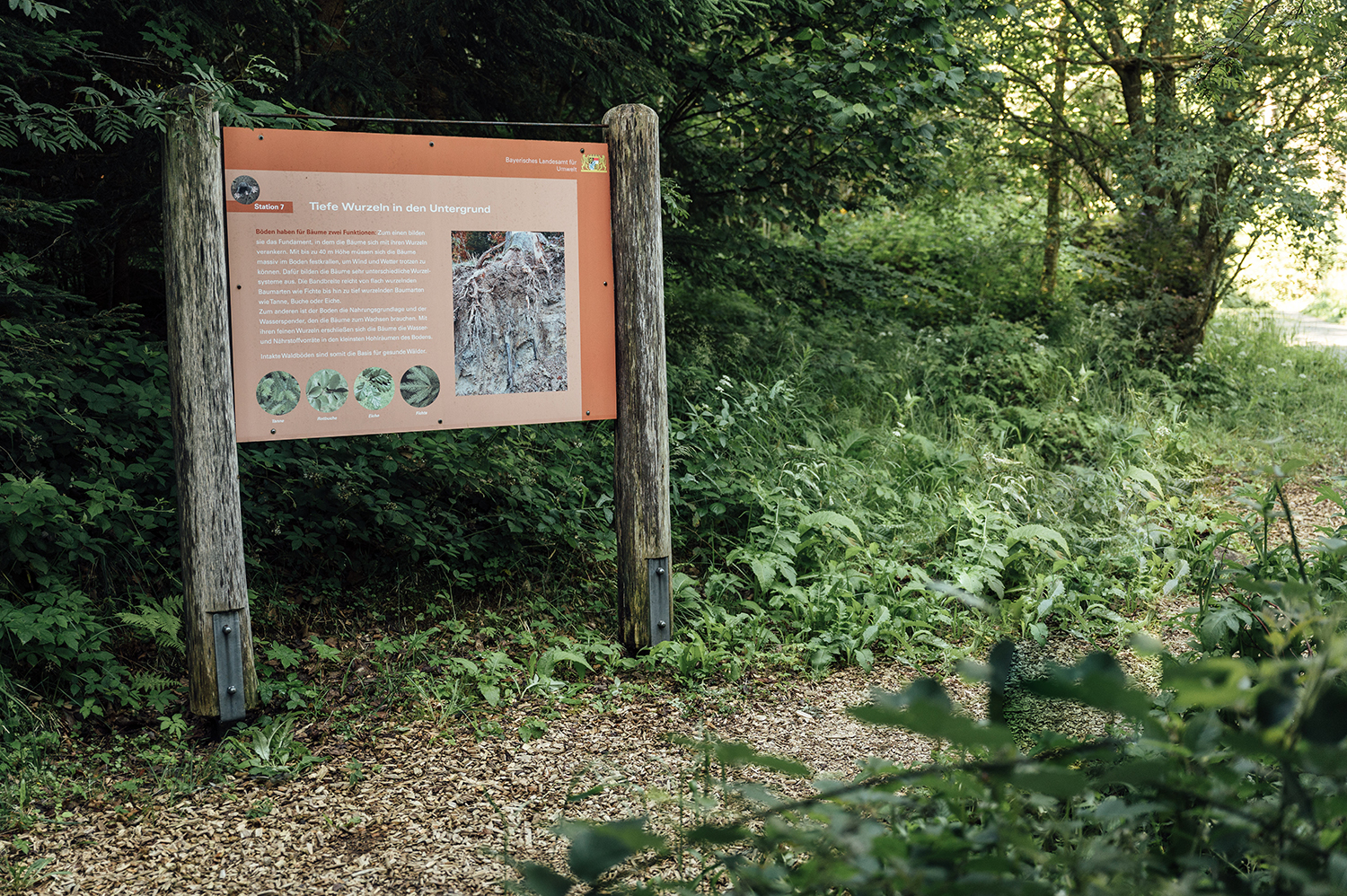 Infotafel Station 7, Bodenlehrpfad Buchenberg
