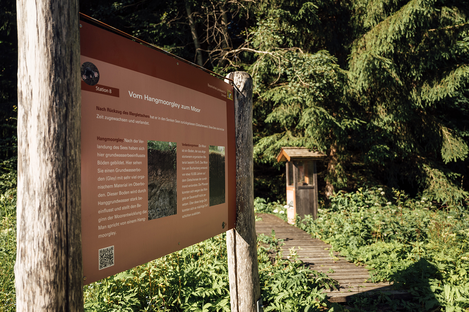 Station 8, Bodenlehrpfad Buchenberg