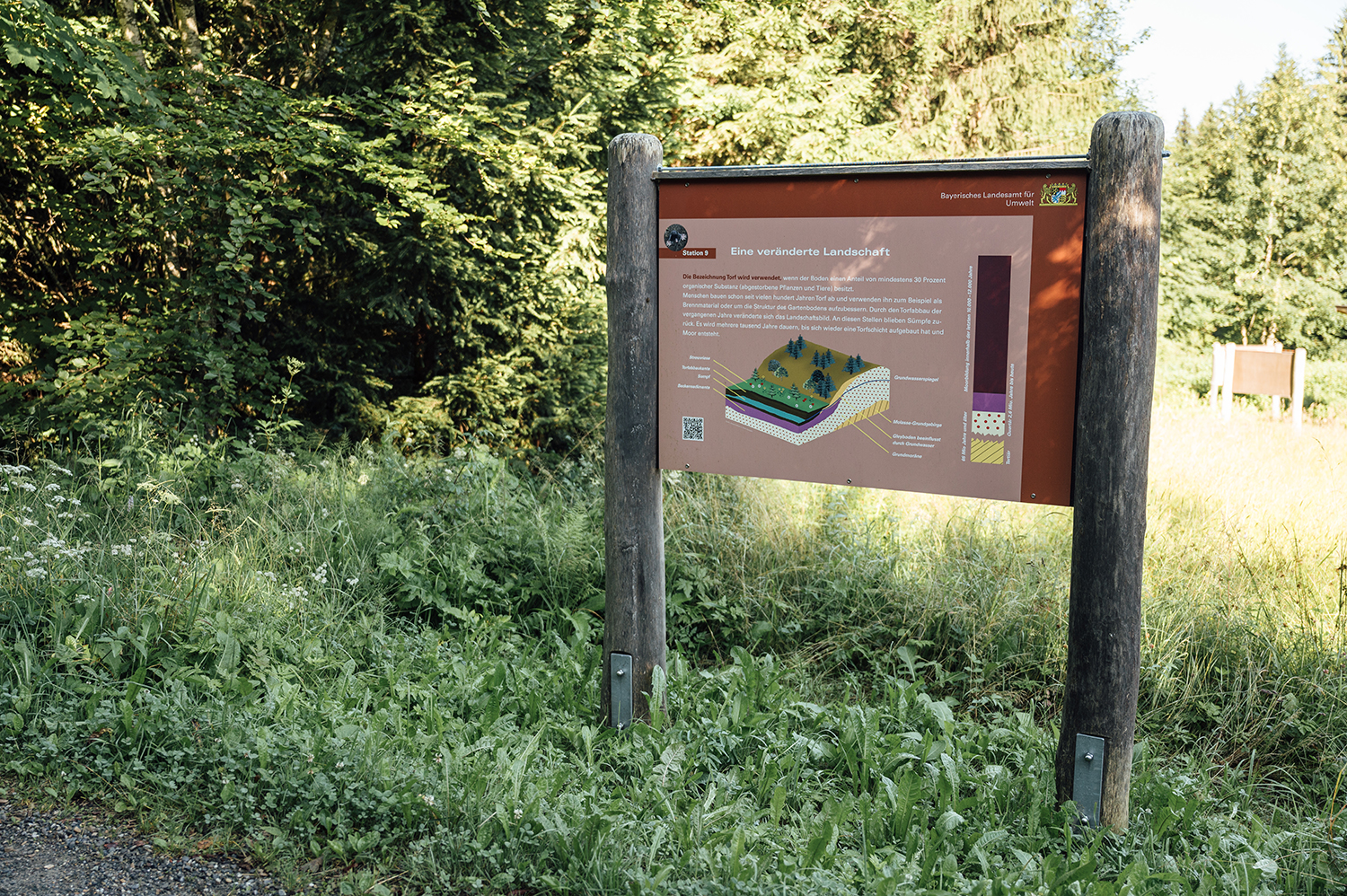 Infotafel Station 9, Bodenlehrpfad Buchenberg