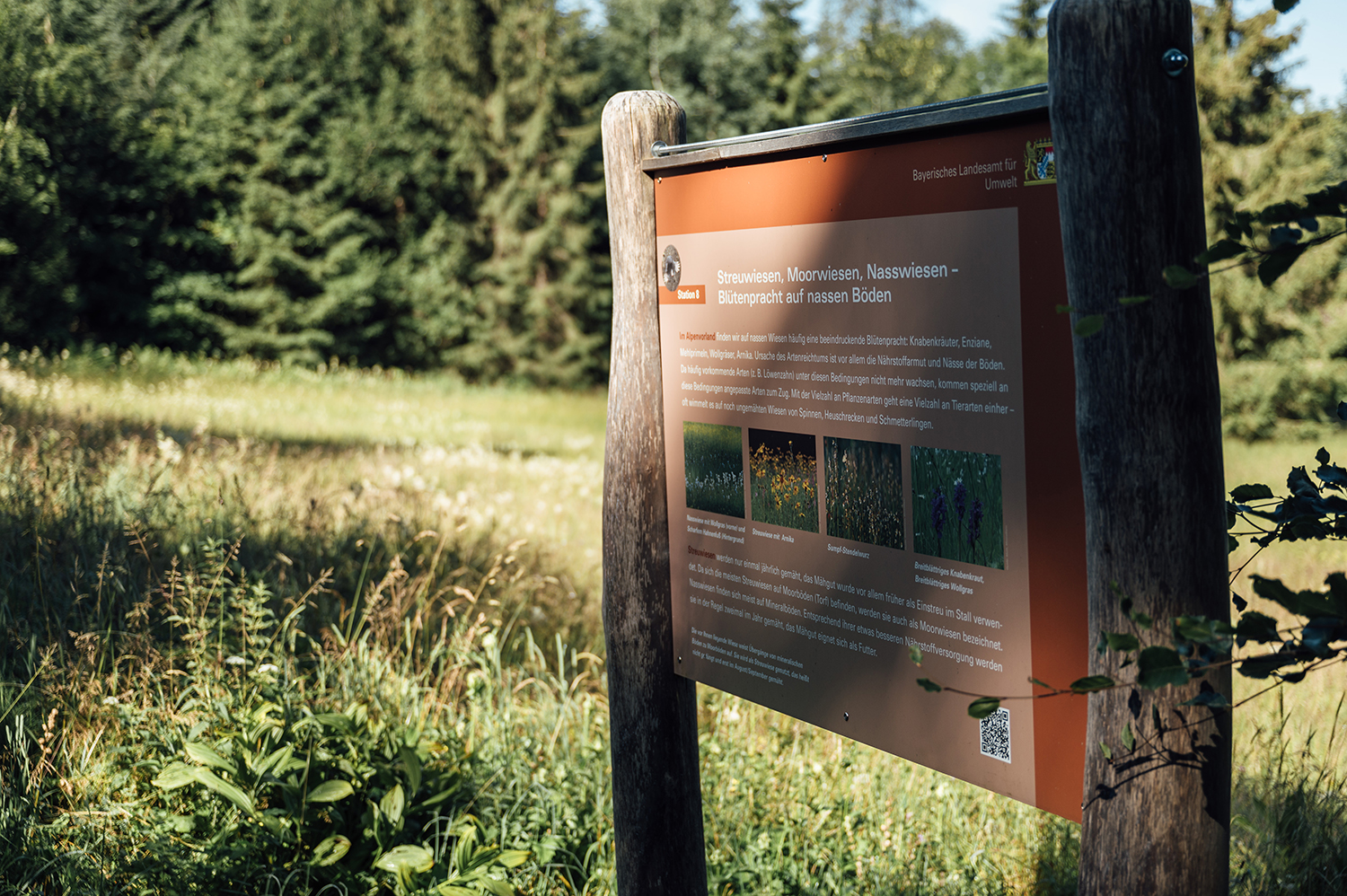 Infotafel Station 10, Bodenlehrpfad Buchenberg
