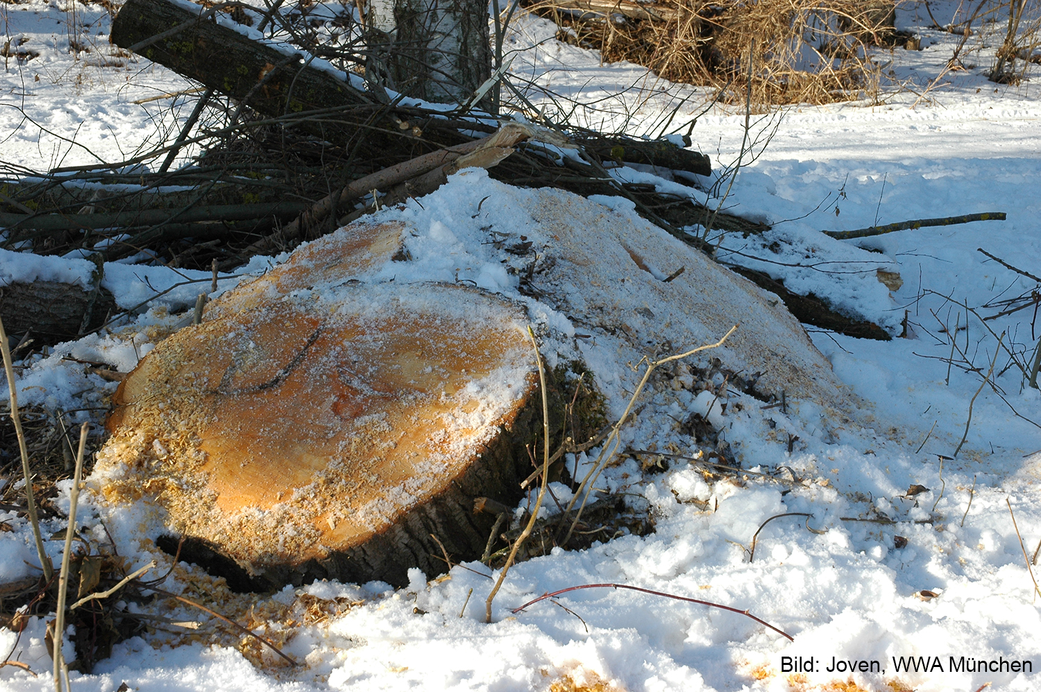 Tauchereinsatz am Rottachsee