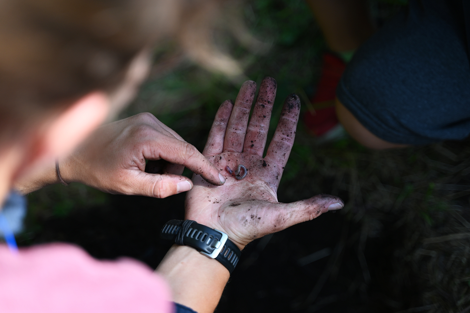 Ferienprogramm für Kinder am Bodenlehrpfad Buchenberg